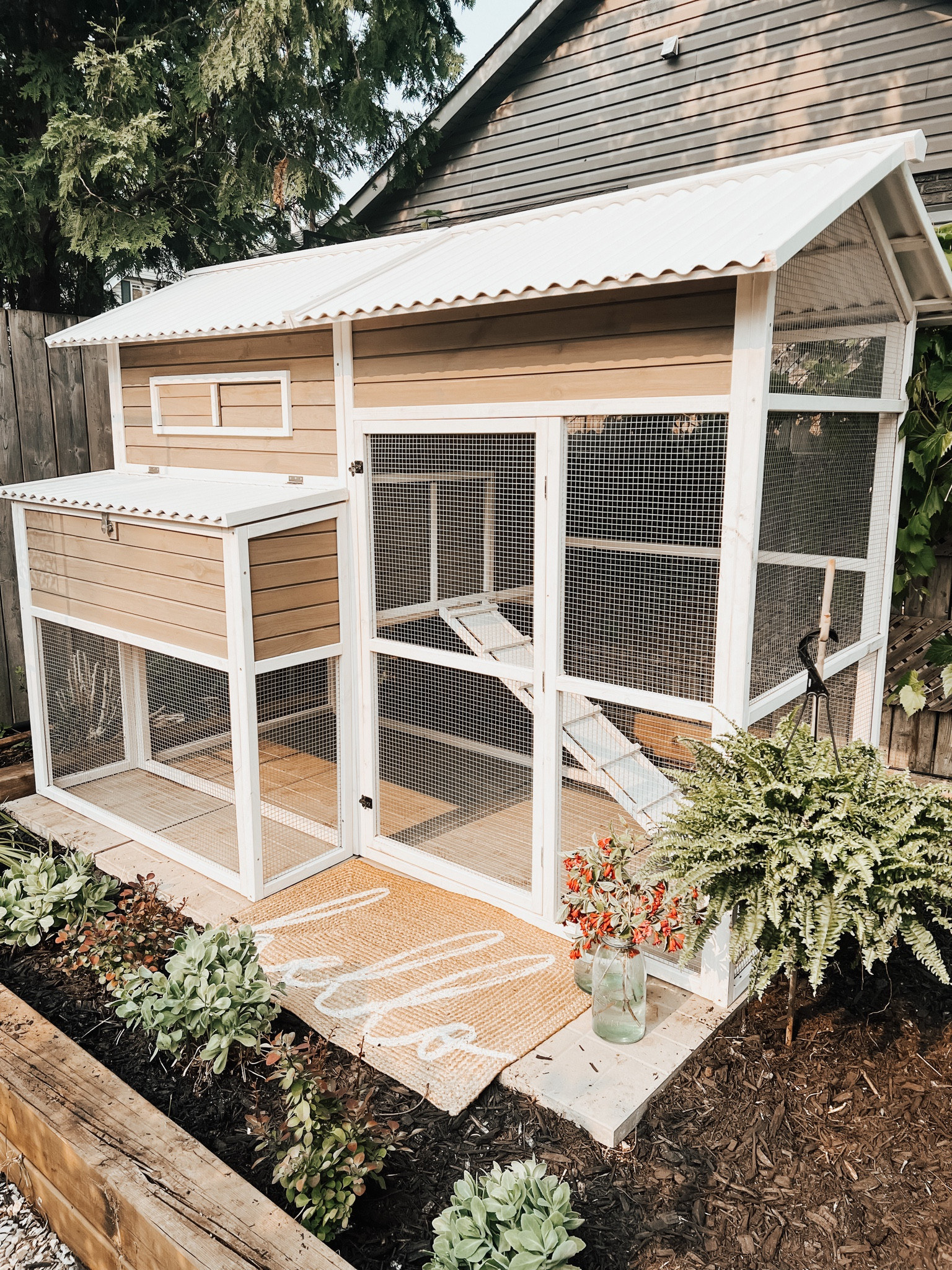 Bunny rabbit must haves! 