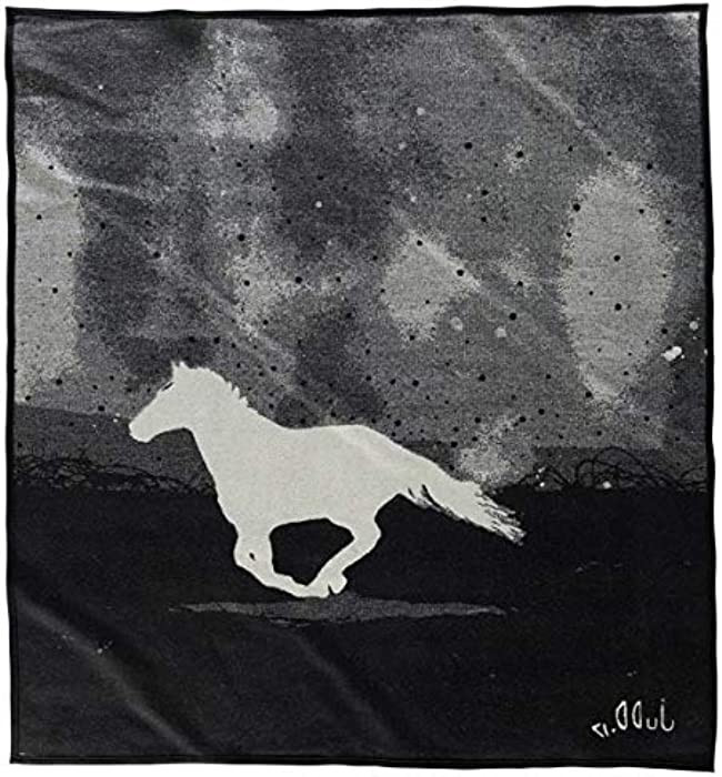 Pendleton a Horse Called Paint Throw | Amazon (US)