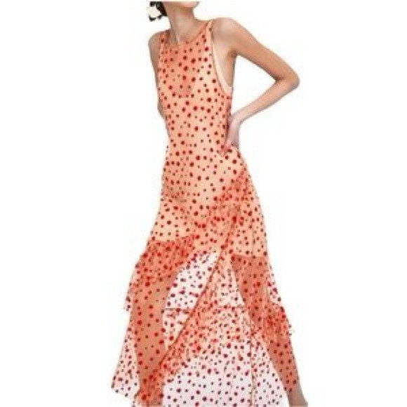 Zara sheer mesh ruffle dress with red velvet polka dots | Poshmark