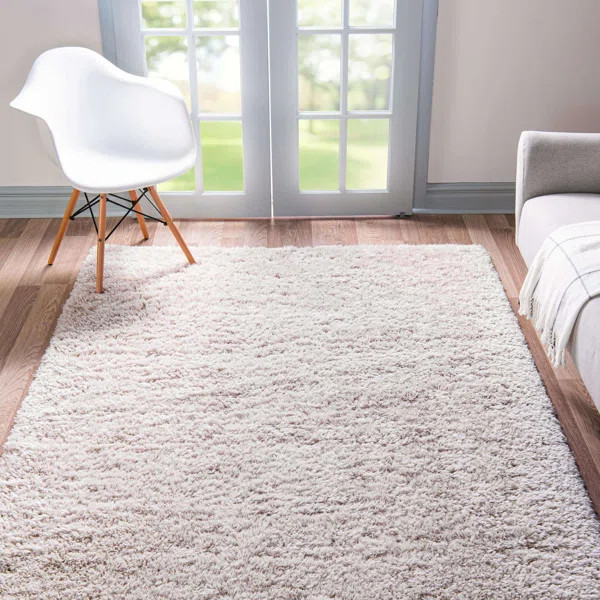 Indoor Rug | Wayfair North America