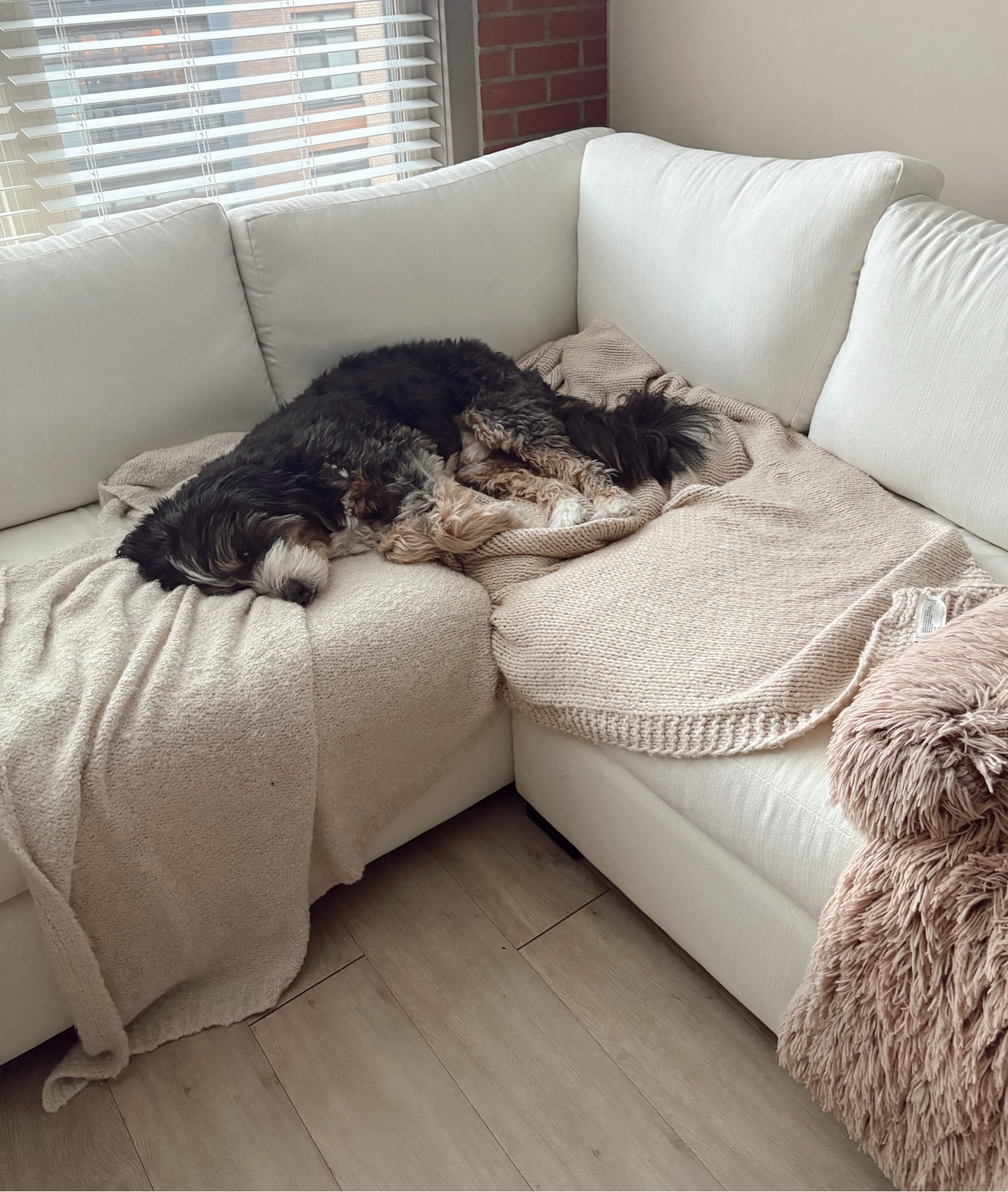 Everyone has been asking for my couch review and I can truthfully say it’s a 10/10-I looked long and hard for the perfect sectional and this was for sure it! 

I have to save the customer service is absolutely amazing too which is so hard to find now a days and makes all the difference when ordering big furniture pieces too!

#LTKFamily #LTKStyleTip #LTKHome