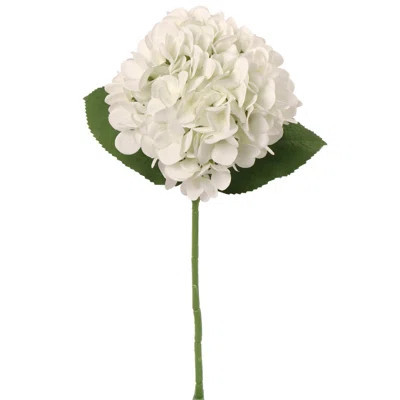Timeless 18-inch White Hydrangea Stem - Classic 7-inch Diameter | Wayfair North America