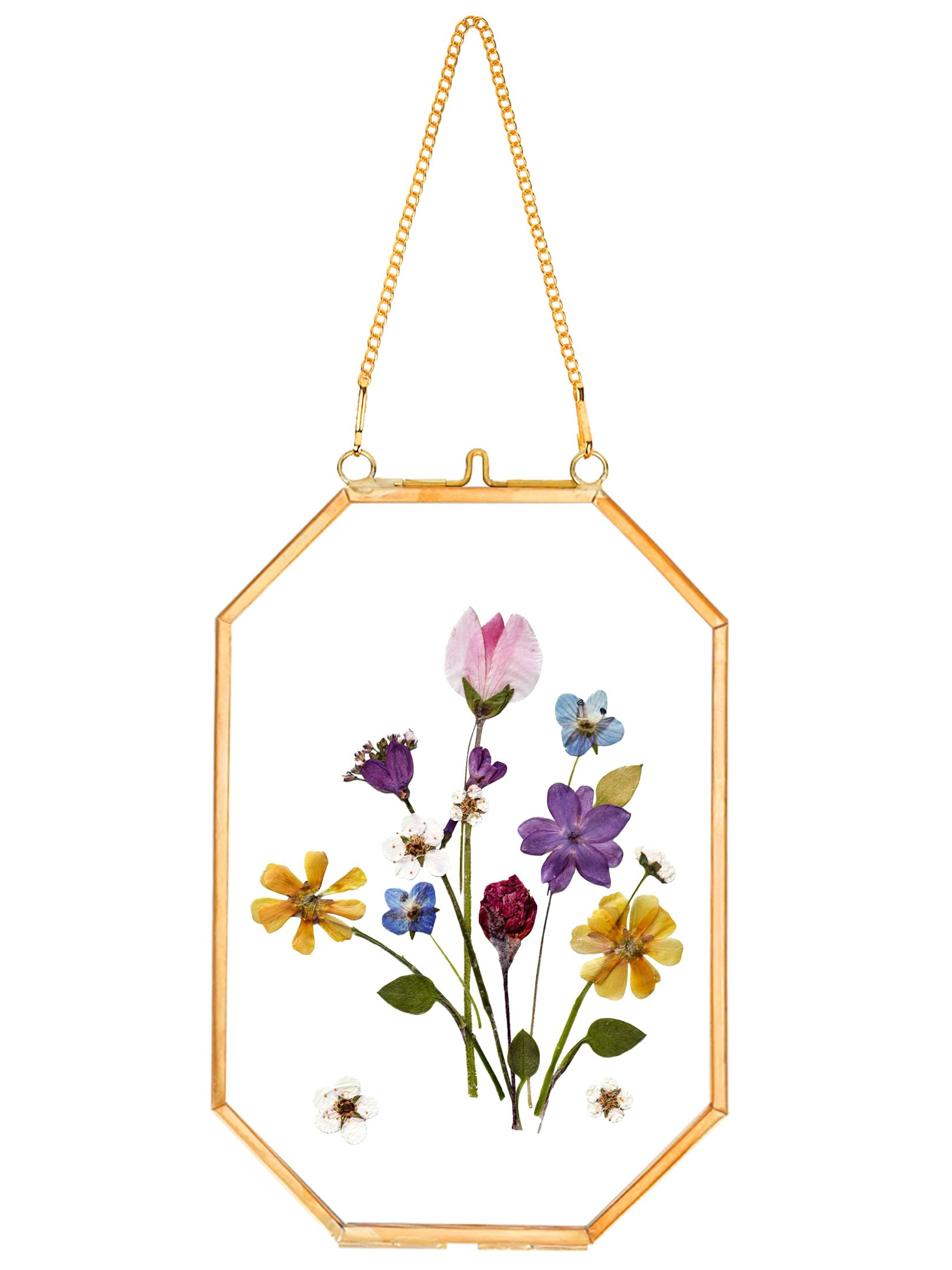 REDHUGO Pressed Flower Frames, Glass Floating Frames for Display Dried Plant Specimen Picture, Hanging Brass Photo Frame with Chain, Double Clear Glass, Vintage Wall Decor, Octagon, Gold, 4x6 Inches | Amazon (US)