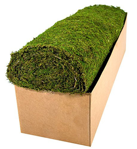 SuperMoss (22395) Instant Green Moss Mat - Preserved Moss Sheet for Table Runners Crafts Garden Decor and Green Wall Displays, 3ft x 24ft | Amazon (US)