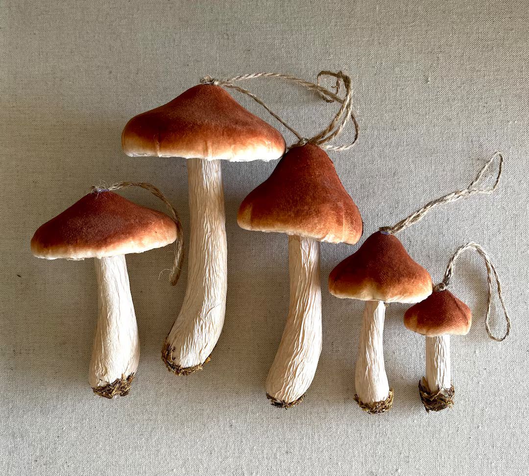 Brown Velvet Mushroom Ornaments 5 Sizes Woodland Toadstool - Etsy | Etsy (US)