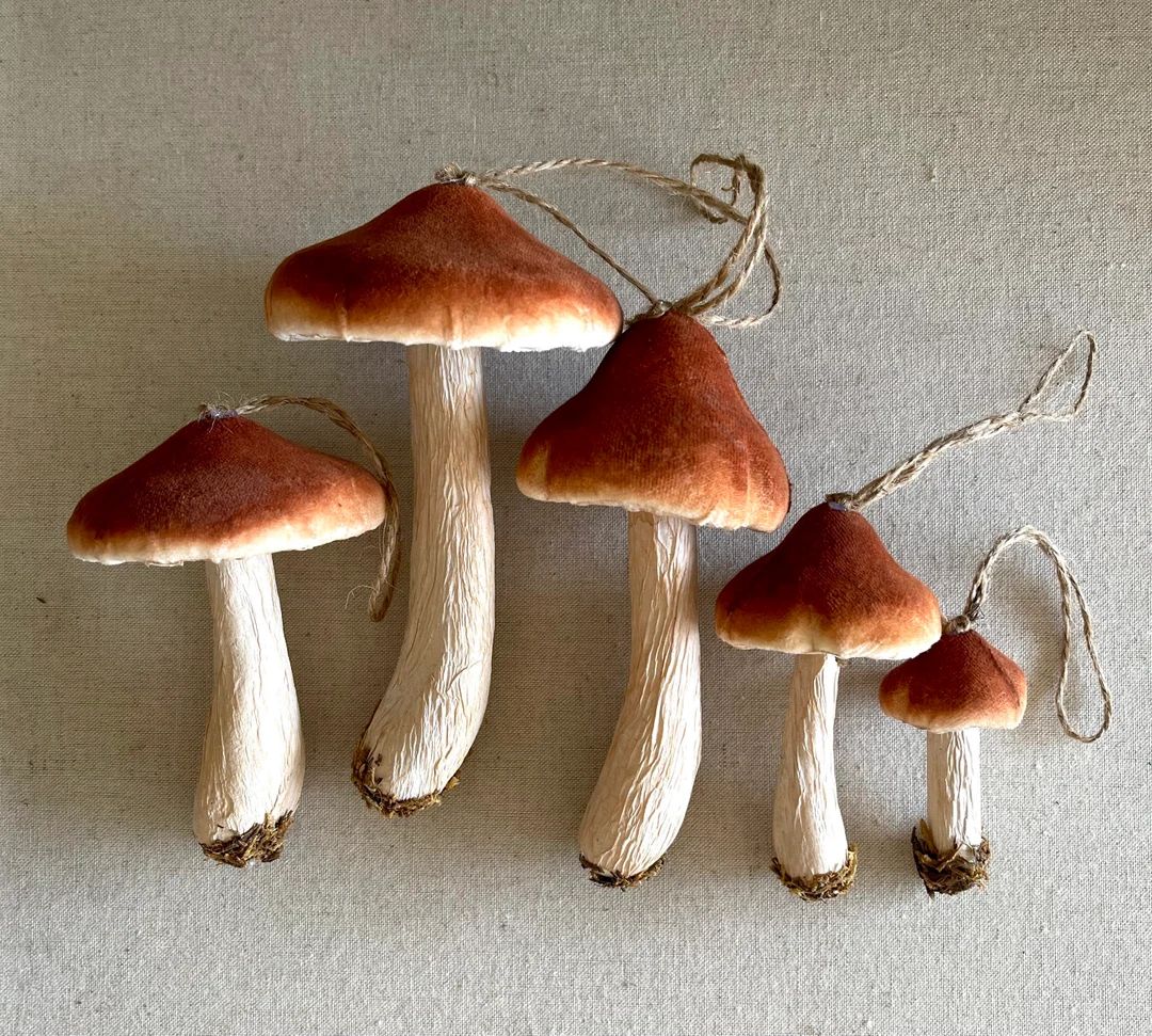 Brown Velvet Mushroom Ornaments 6 Sizes Woodland Toadstool - Etsy | Etsy (US)
