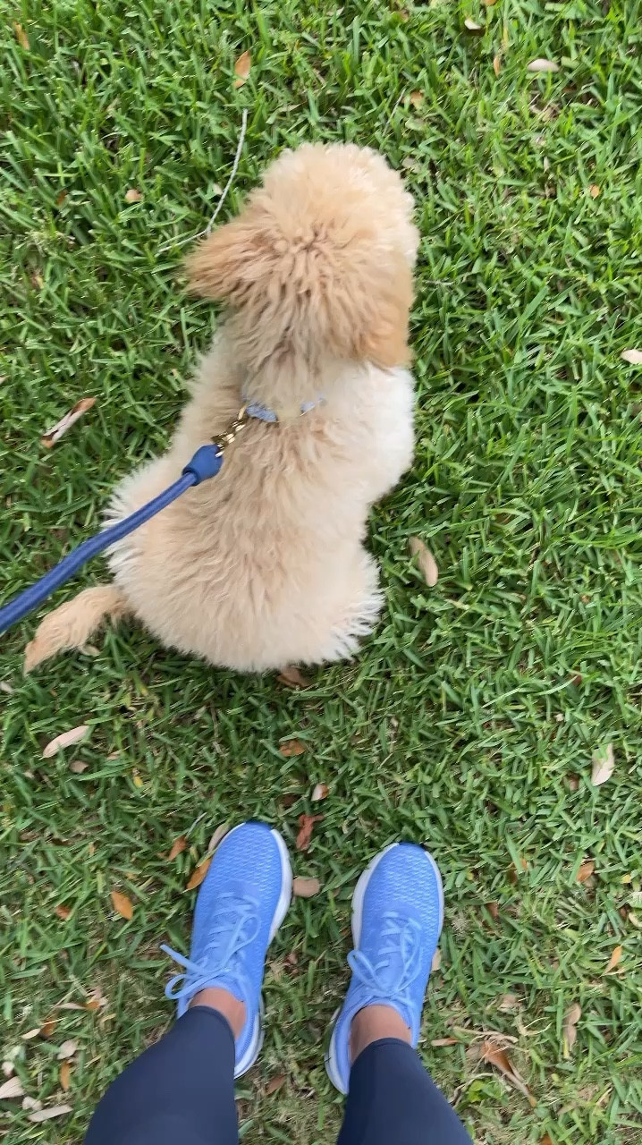 These EasyMove EMOVE walking shoes by @easyspiritofficial have also become a favorite pair to wear on my long walks every day. #EasySpiritPartner

They’re available in extended widths, have great arch support for all day comfort, and are orthotic friendly. 

Shop them here on LTK in more colors for summer!


#LTKShoeCrush #LTKFindsUnder50 #LTKOver40