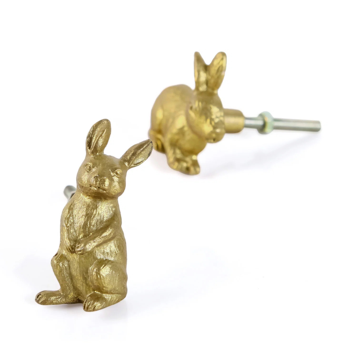 Oversized 2 1/3" Novelty Knob Multipack (Set of 2) | Wayfair North America