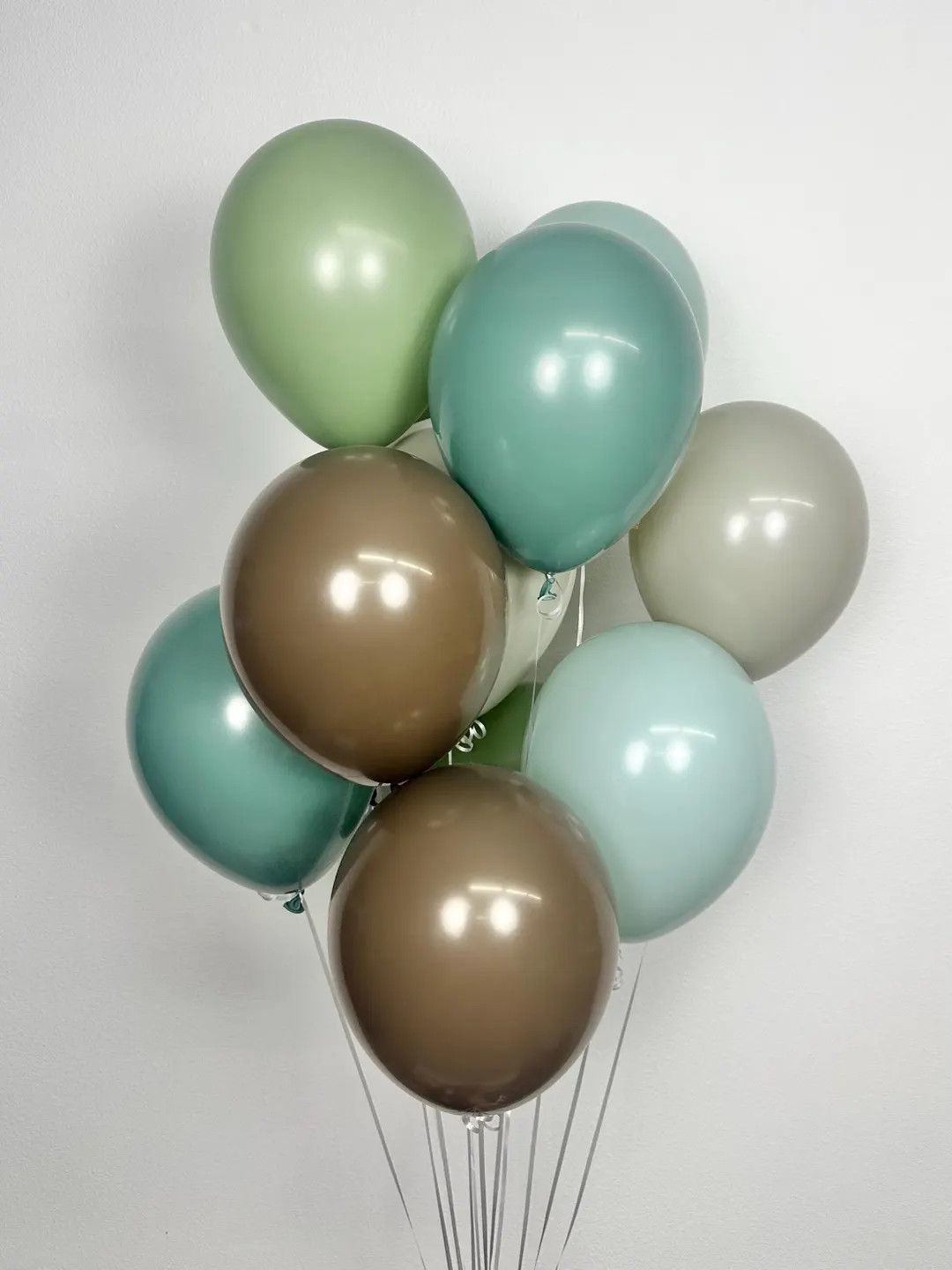 Boho Dinosaur Balloons: 12pc Jungle Party Decor - Etsy | Etsy (US)