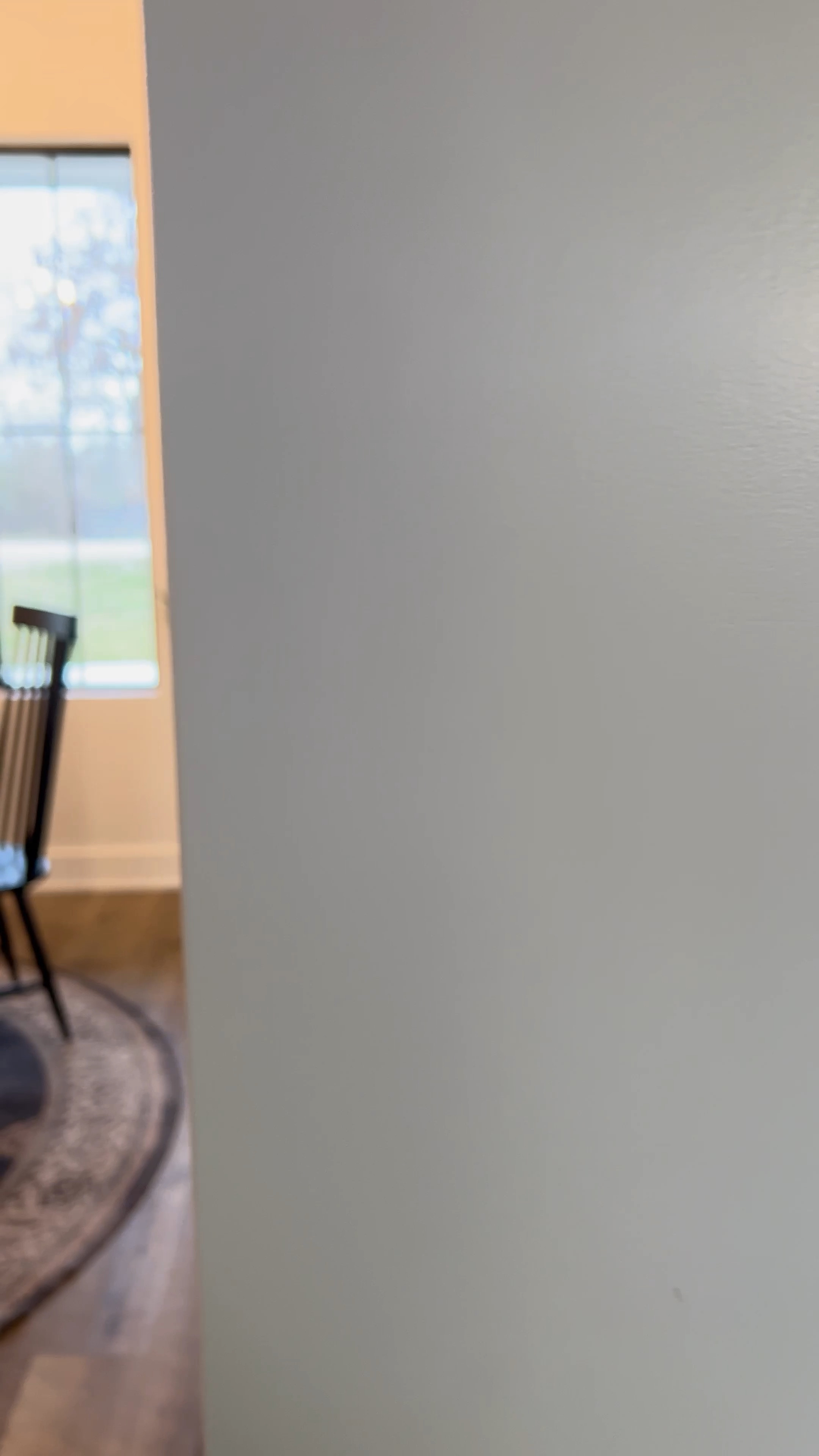 Finally adding some character, and color, with a bunch of new greenery around the house! 🌿

Are you a fan of house plants? Faux or real?

#LTKhome #LTKunder50