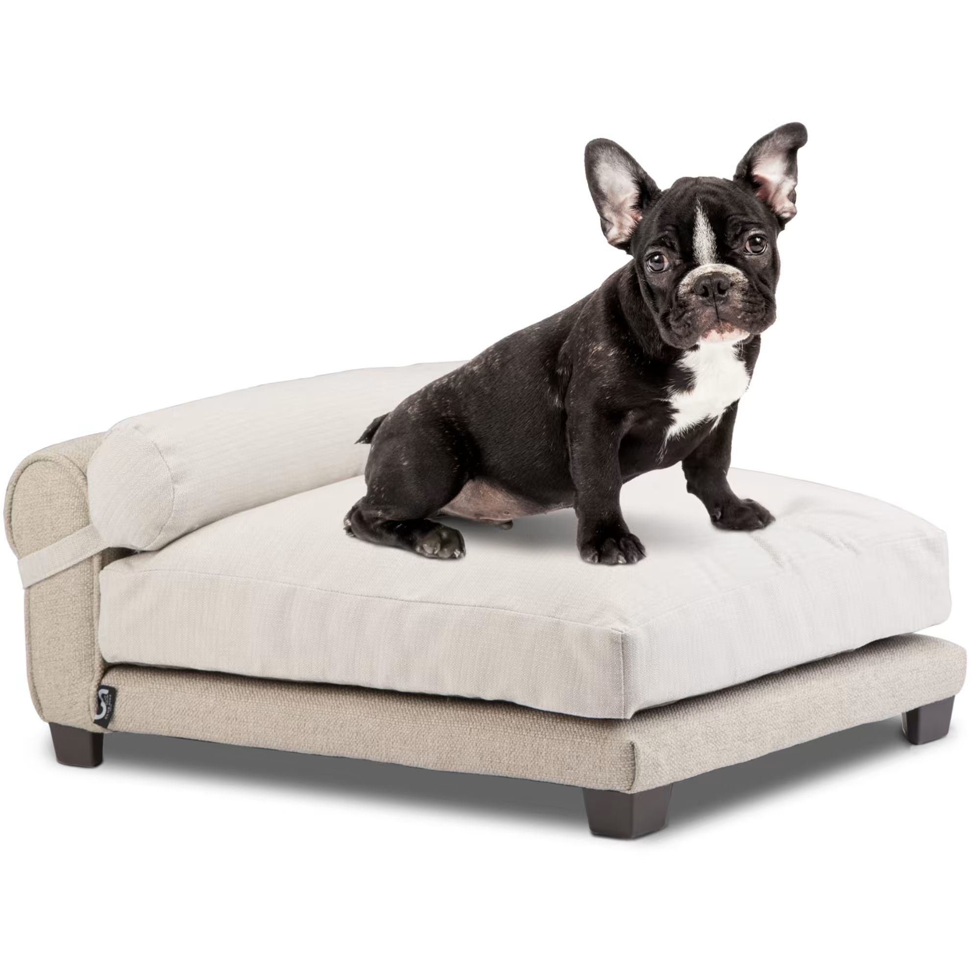 Club Nine Pets Tan Belmont Orthopedic Dog Bed, 23" L X 16" W | Petco
