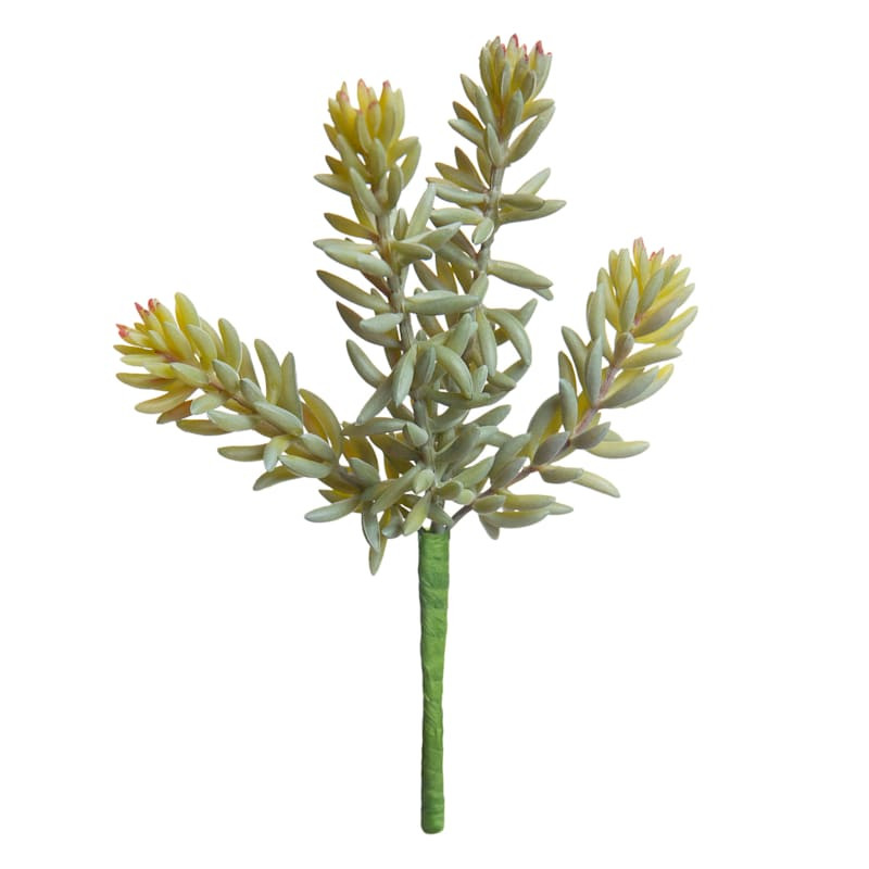 Ash Green Sedum Pick, 7" | At Home