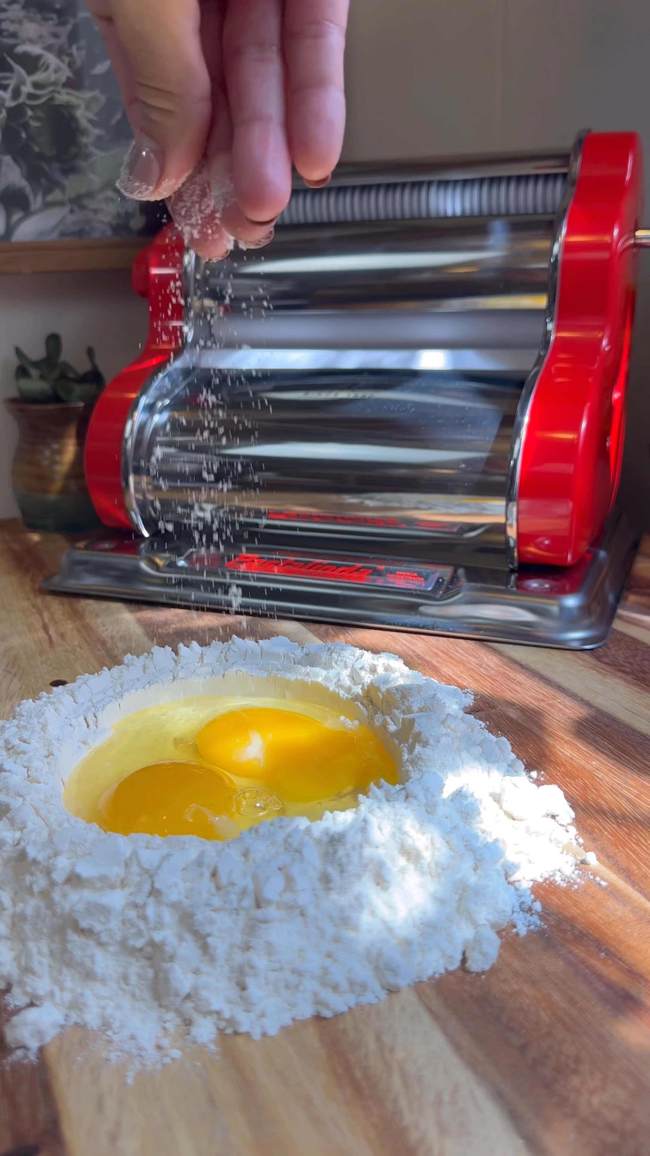 You don’t NEED to salt your pasta dough… But ALWAYS add salt to your pasta water! #pasta

#LTKHome #LTKVideo