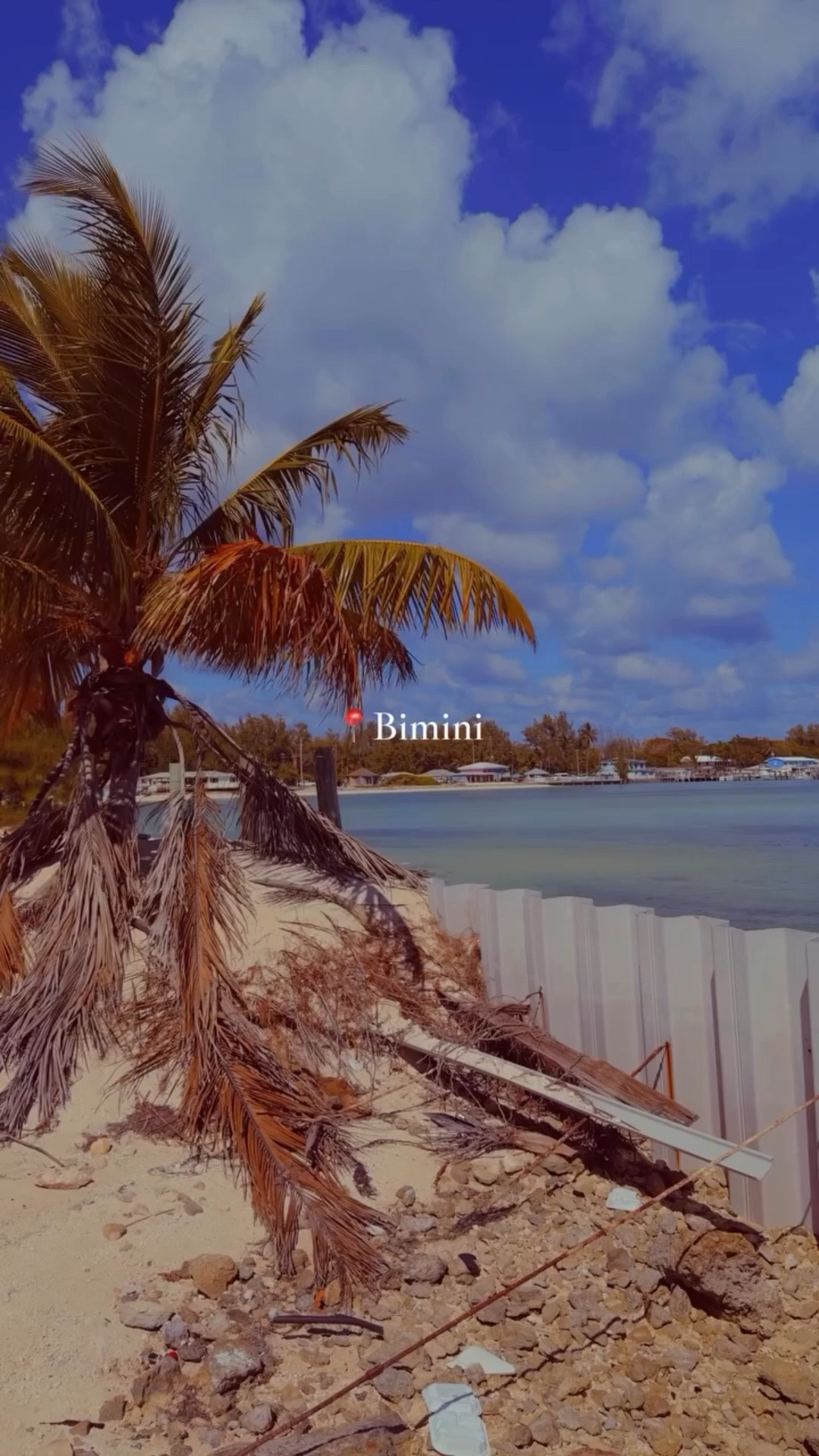 Do Not Disturb 🌴

But seriously… the peace and relaxation I felt during my short but sweet time in Bimini was AMAZING! And honestly, I didn’t even begin to scratch the surface.

That’s why I’m super excited to be returning soon for another wonderful opportunity. Can’t wait to share even more with y’all soon.

Grateful 🥰

#bimini #visitthebahamas #caribbean #islandlife #travel

#LTKSeasonal #LTKTravel #LTKvlog