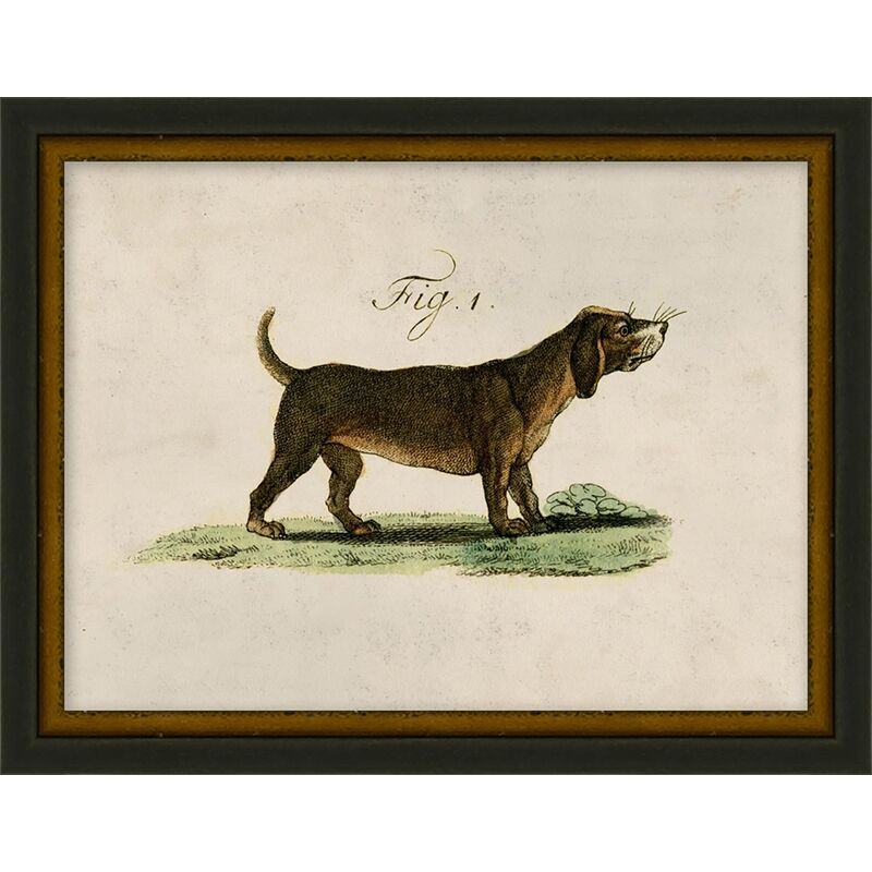 Lauren Liess, Antique Pup Sketch I | One Kings Lane