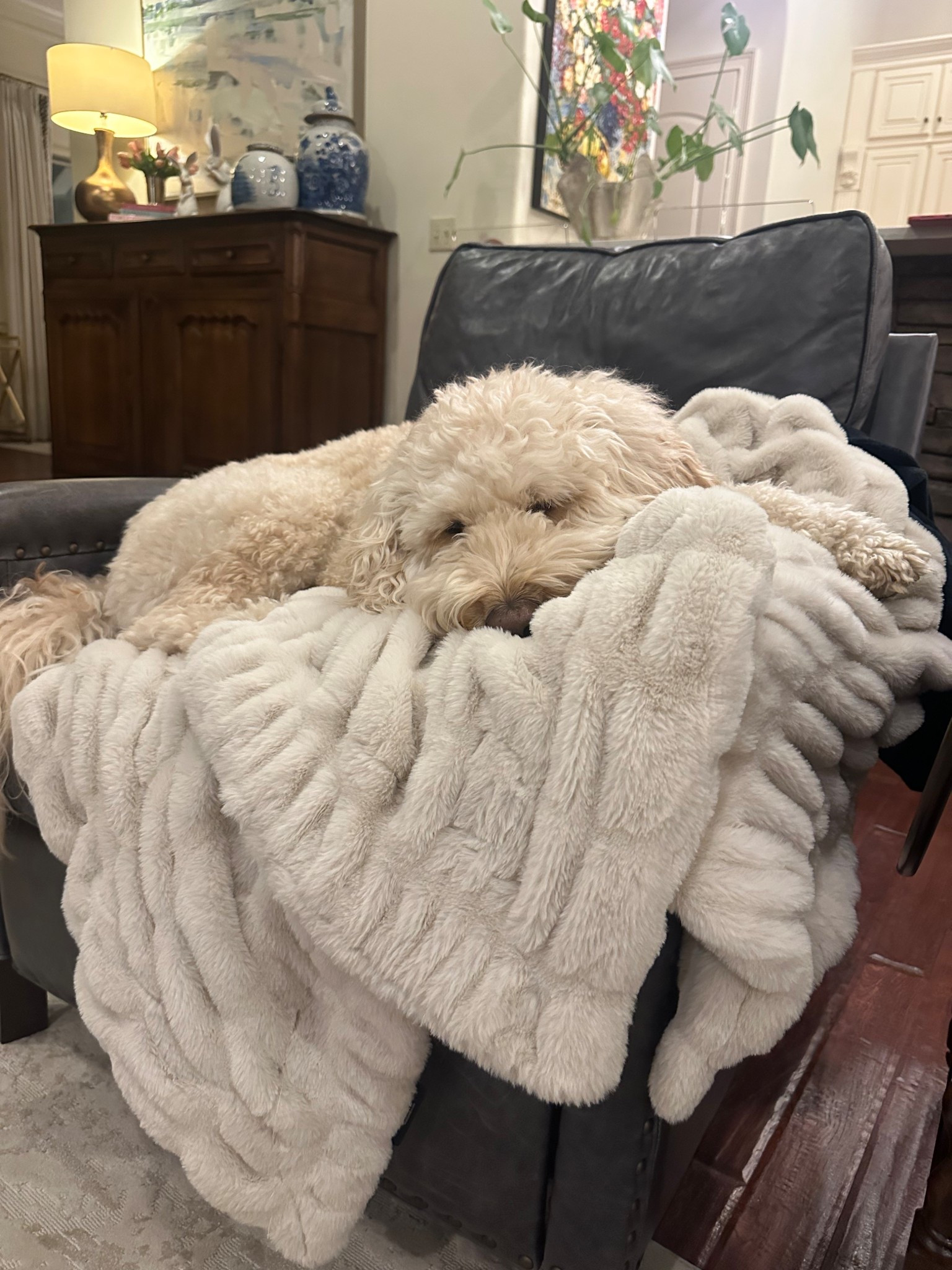 Dallas loves his Lola, and so does the rest of our fam 🤍

Shop Lola while they’re on sale!!

#LTKSaleAlert #LTKselfcare #LTKTravel
