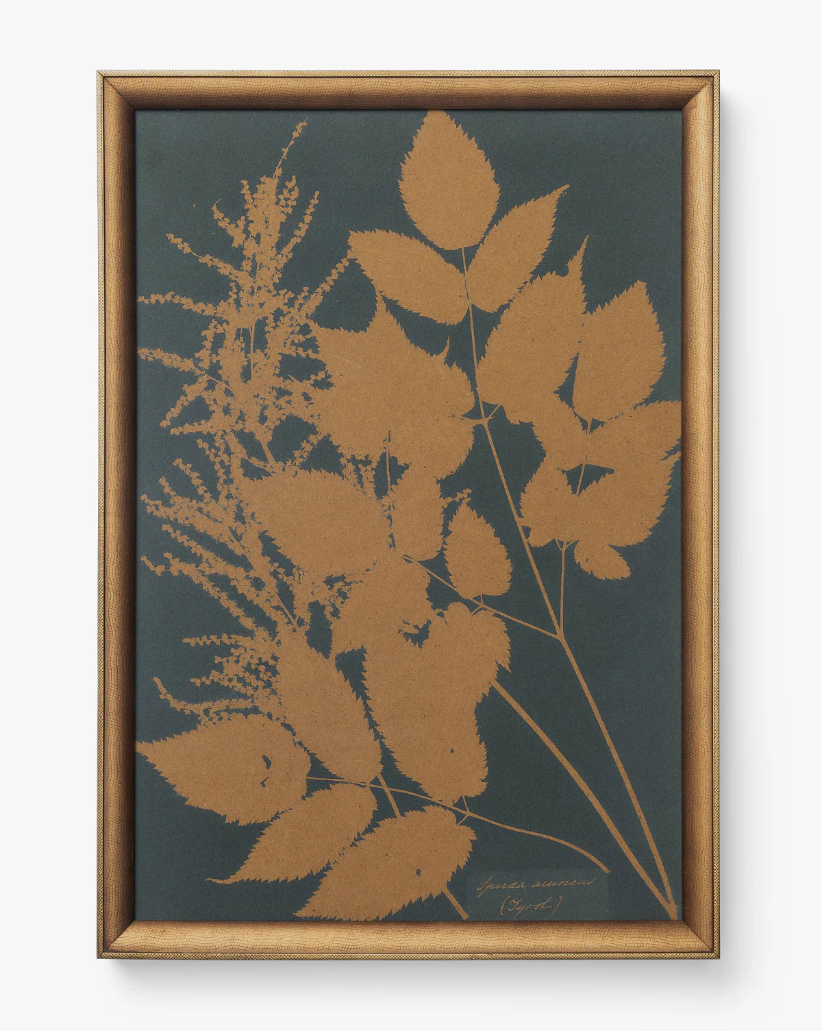 Copper Botanical 4 | McGee & Co. (US)