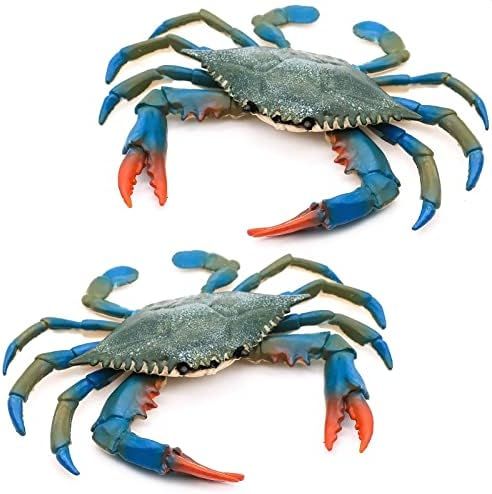 Crabs | Amazon (US)