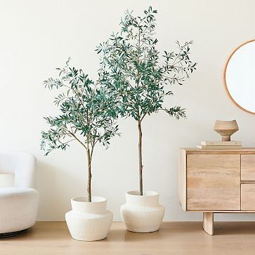 Faux Potted Olive Tree | West Elm (US)