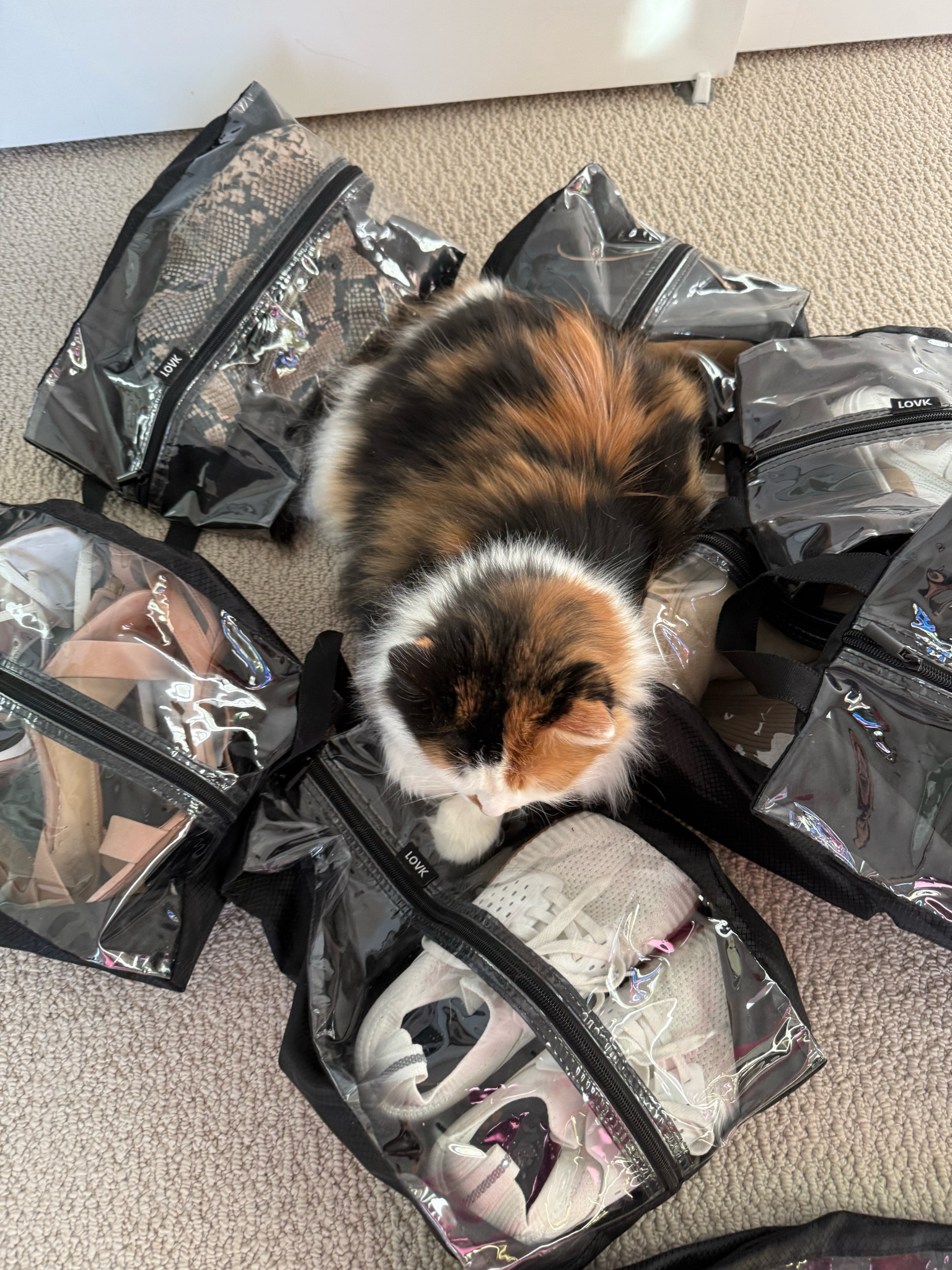 Kitty approved travel bags for shoes

#LTKTravel