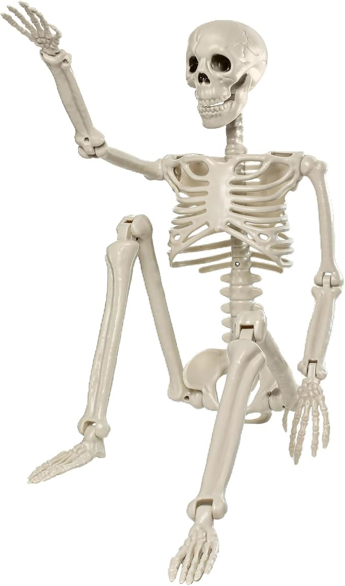 3FT Halloween Skeleton Decorations, 36" Full Body Posable Skeleton, Plastic Realistic Human Bones... | Amazon (US)