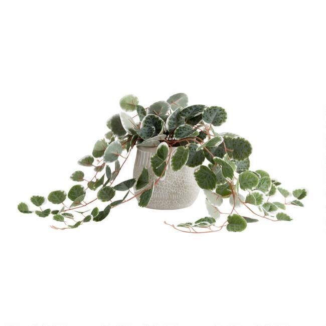 Faux String of Hearts Plant in Etched Cement Pot | World Market
