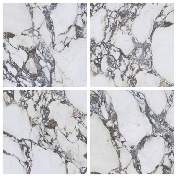 Autograph Arabescato 48X48 Marble Look Satin Porcelain Tile (Set of 2) | Perigold