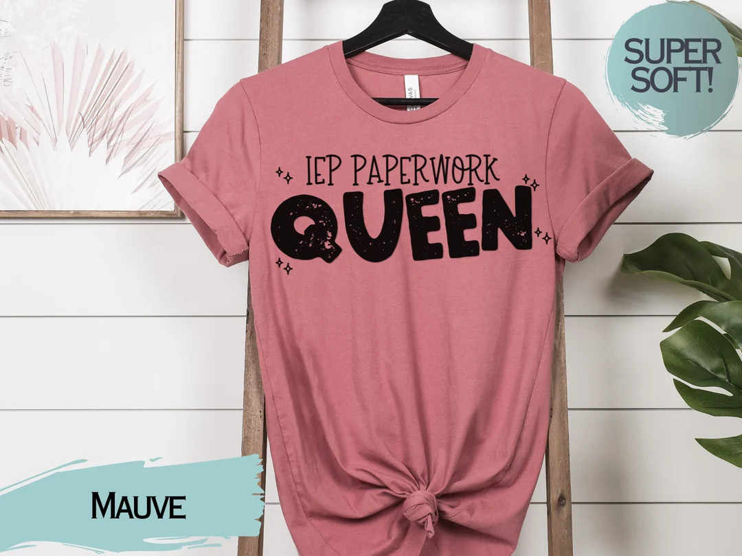 IEP Tshirt, Special Education Teacher Shirt, Gift for Special Education Teacher, IEP Shirt, Teach... | Etsy (US)