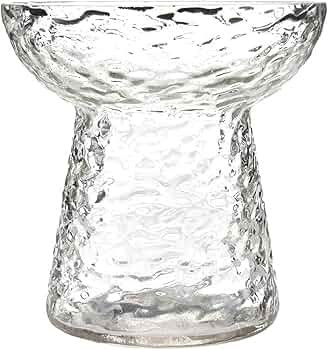 47th & Main Glass Vase with Pebbled Texture, 5" Tall x 5" Diameter, Clear | Amazon (US)