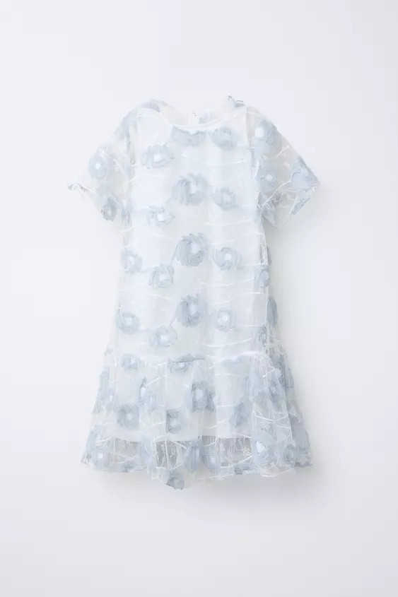 EMBROIDERED TULLE DRESS | Zara UK
