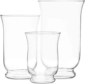 Royal Imports Hurricane Pillar Candle Holder, Clear Glass Flower Vase, Terrarium Planter, Decorat... | Amazon (US)