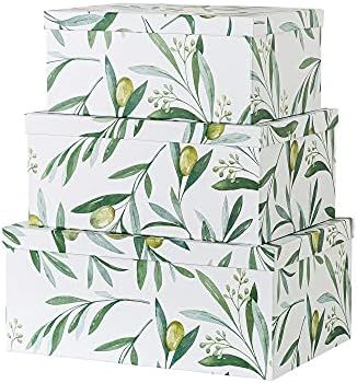 Soul & Lane Decorative Storage Cardboard Boxes with Lids | Olive Branches - Set of 3 | Botanical ... | Amazon (US)