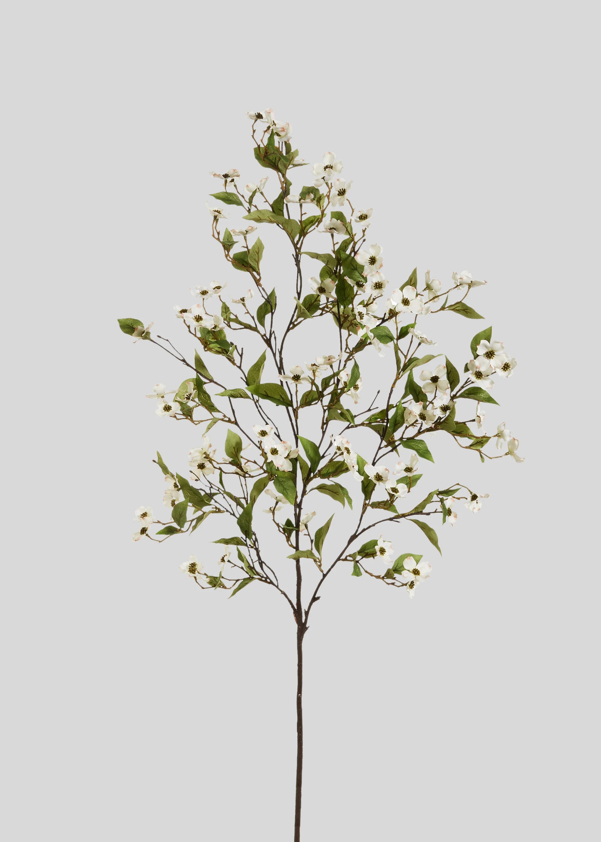 Spring Dogwood Branch in White | Artificial Blooming Flowers | Afloral | Afloral