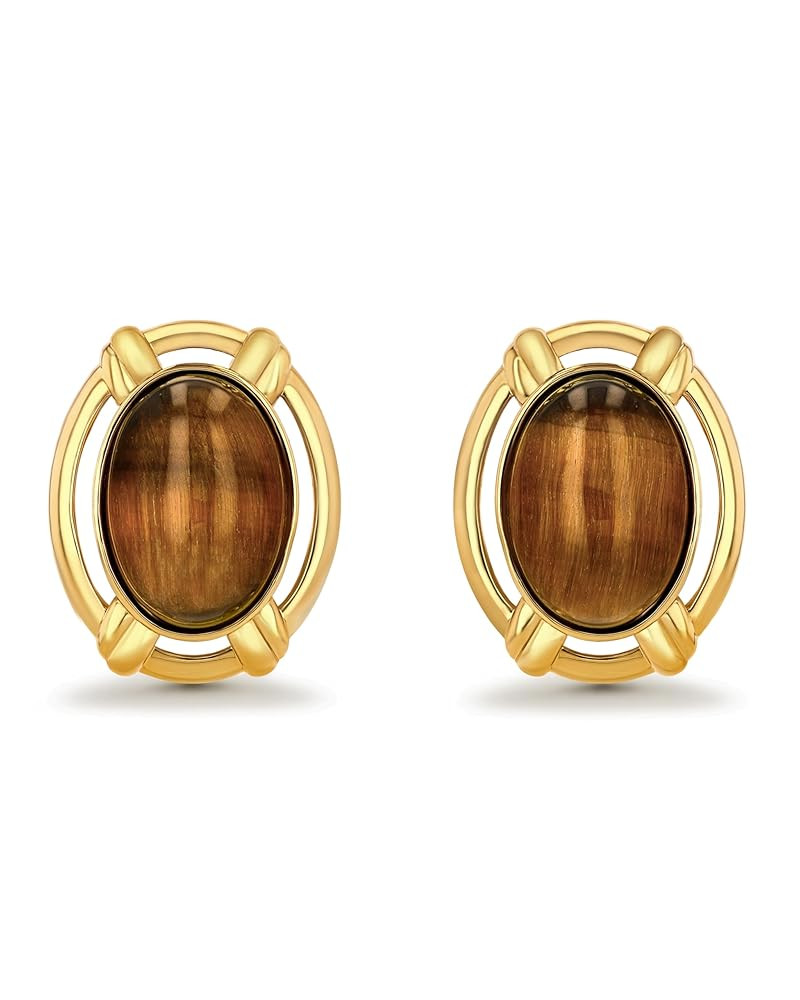 Large Oval Button Chunky Gold Tiger Eye Gemstone Statement Earrings for Women by SNGIA, Big Brown... | Amazon (US)