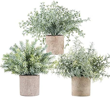 3 Pack Mini Potted Fake Plants Artificial Plastic Eucalyptus Plants for Home Office Desk Room Dec... | Amazon (US)