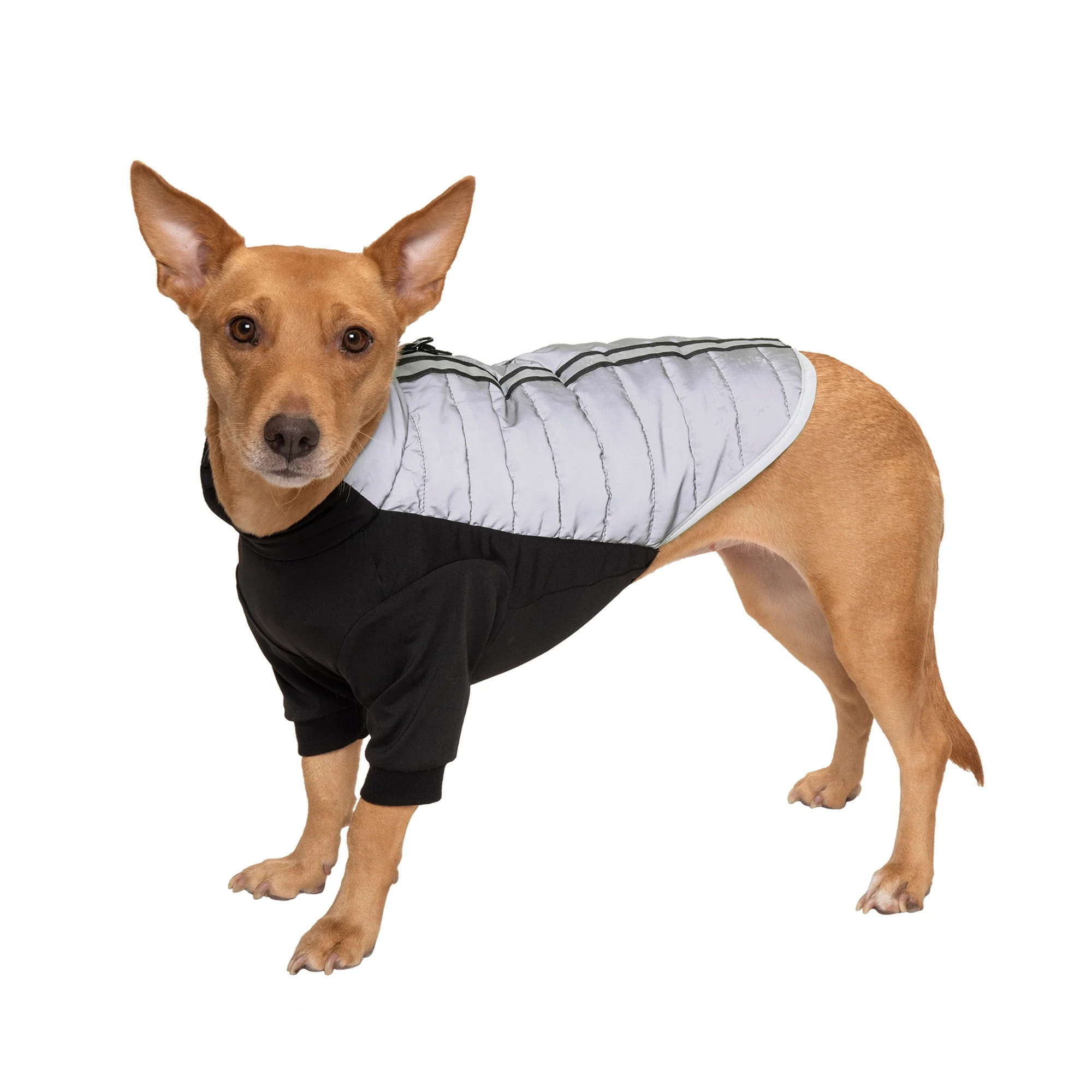 FurHaven Pet Products Water-Repellent Pro-Fit Dog Coat - Chrome, Small | Walmart (US)