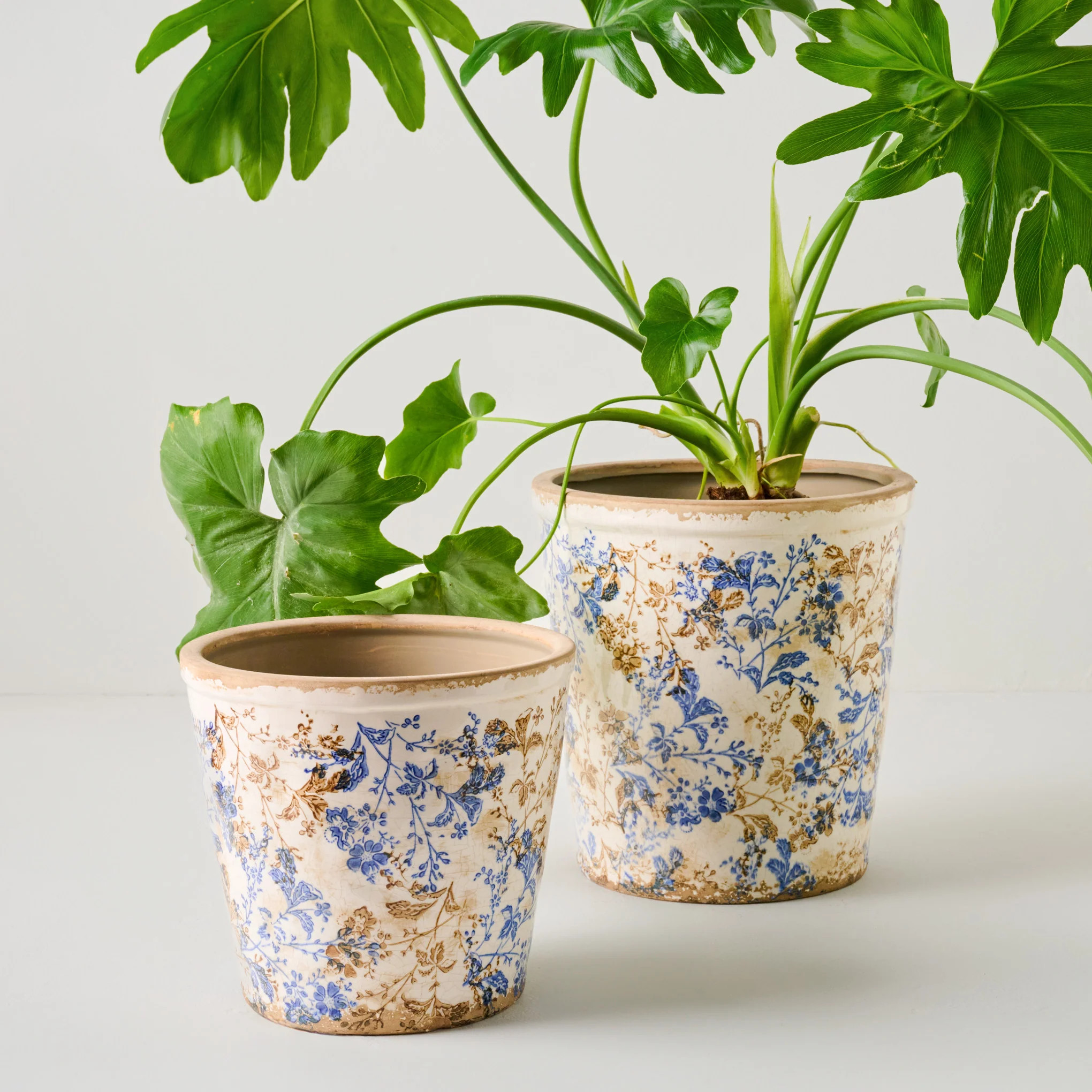Blue and White Distressed Planter | Magnolia