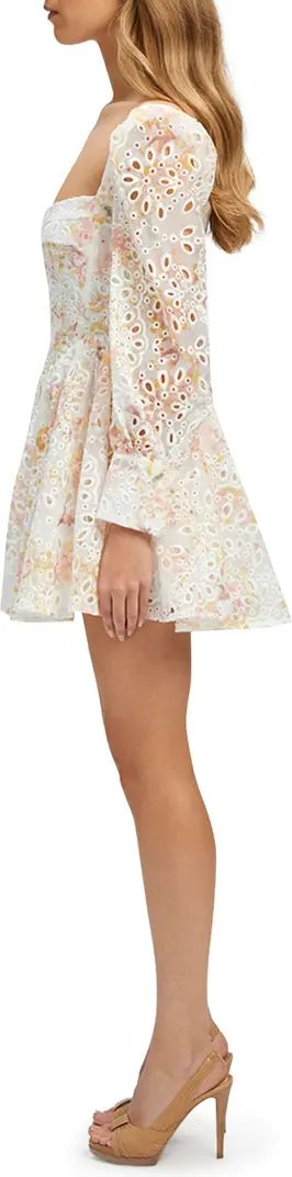 Lila Eyelet Flounce Long Sleeve Minidress | Nordstrom