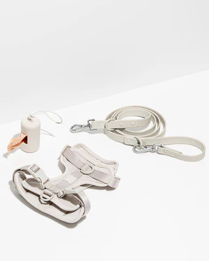 Harness Walk Kit | Dog Harness & Leash Kit | Wild One | Wild One