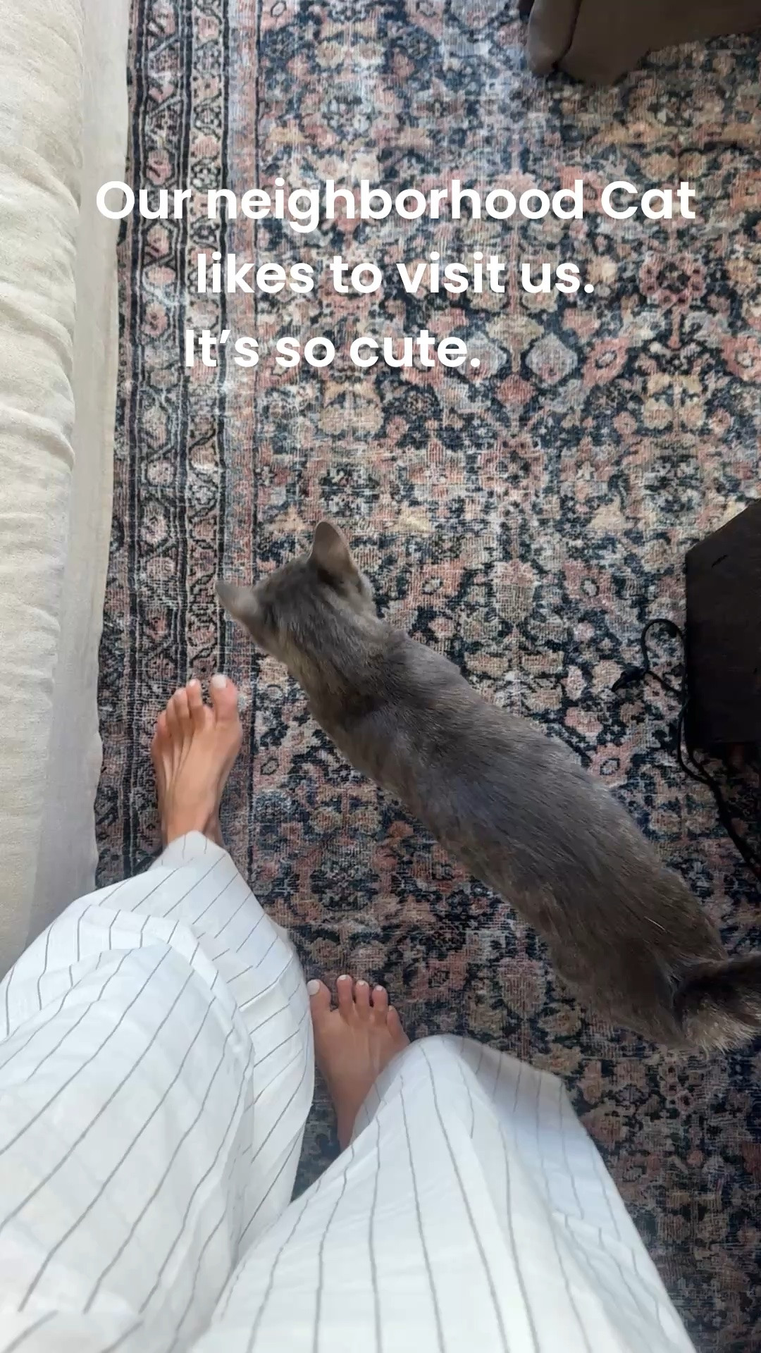 Just saw the 8 x 11 version of our rug is 70% off Memorial Day. Also linking a similar rug we have in our bedroom. And a bunch of other things we have in our living room. ￼