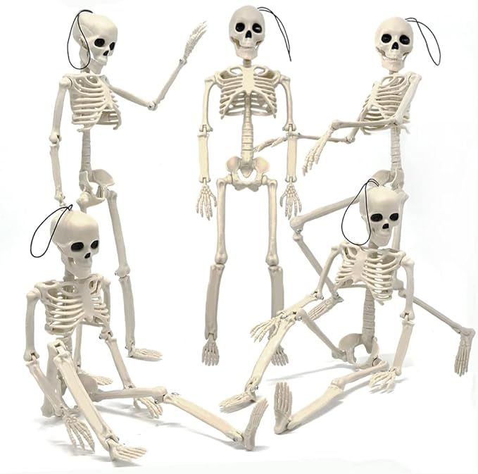 5 Pcs 16'' Hanging Skeleton Halloween Decorations, Movable/Posable Joints Realistic Full Body Pla... | Amazon (US)