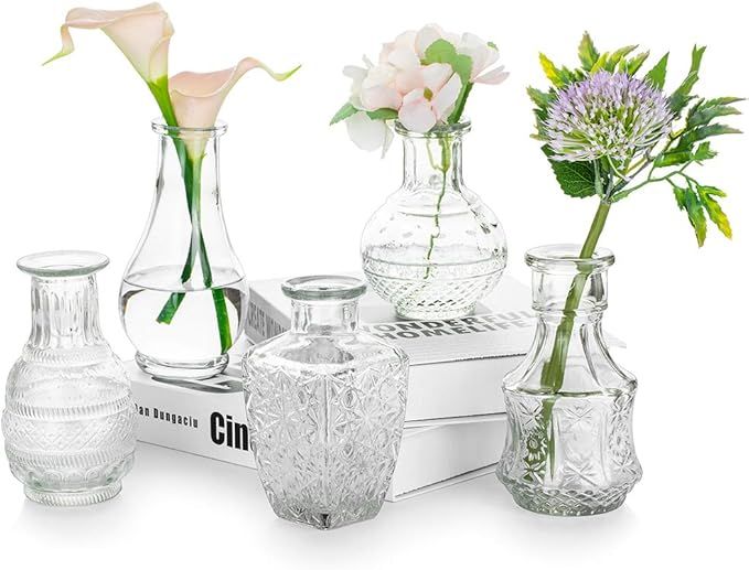 Glass Single Bud Vase Set of 5 Decorative Rustic Flower Vases Small Mini Table Floral Vase Barcel... | Amazon (US)