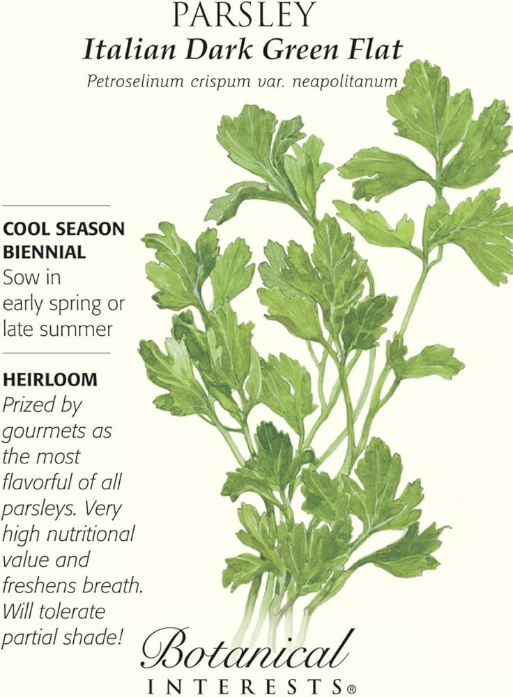 Parsley Italian Flat Leaf Certified Organic Seeds | Amazon (US)