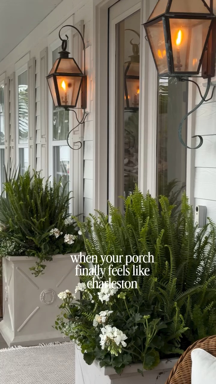 The mix I love for my charleston porch!

• Kimberly Queen fern
• Foxtail fern
• Ivy
• Creeping fig
• Geranium
• Diamond frost

I’ve also added mandevilla to the mix!