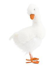 Duck Decor | TJ Maxx