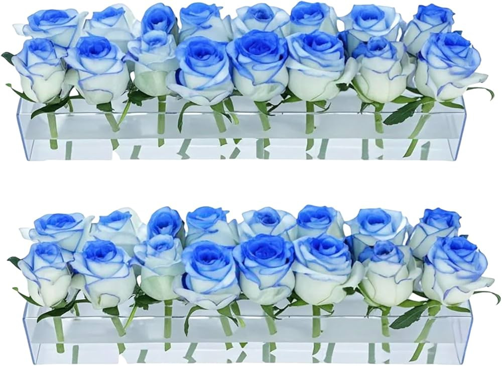 2Pack Clear Acrylic Flower Vase Rectangular, 15.7 Inches Long Floral Centerpiece Low Vases with H... | Amazon (US)