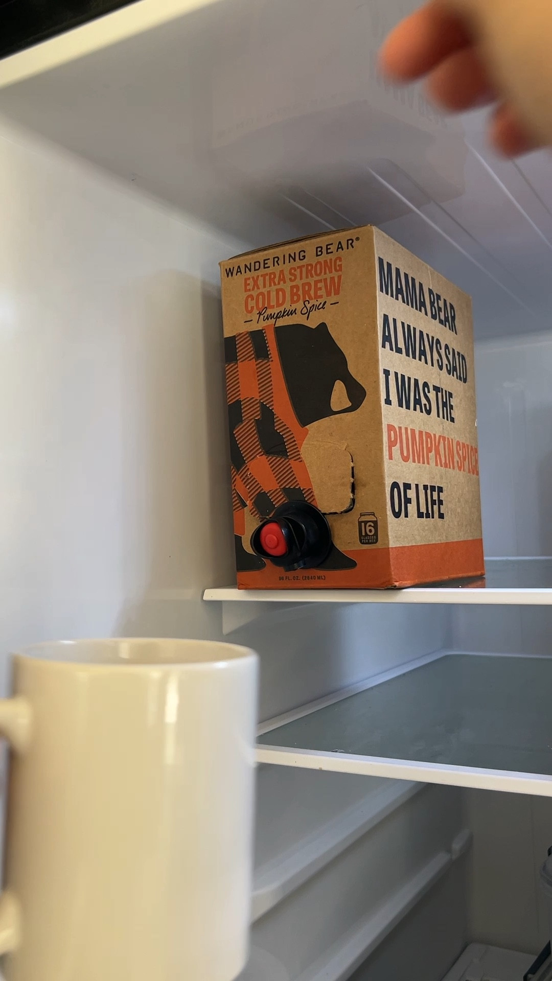 Pumpkin spice cold brew | Wandering Bear Coffee | coffee on tap

#LTKSeasonal #LTKFind #LTKunder50