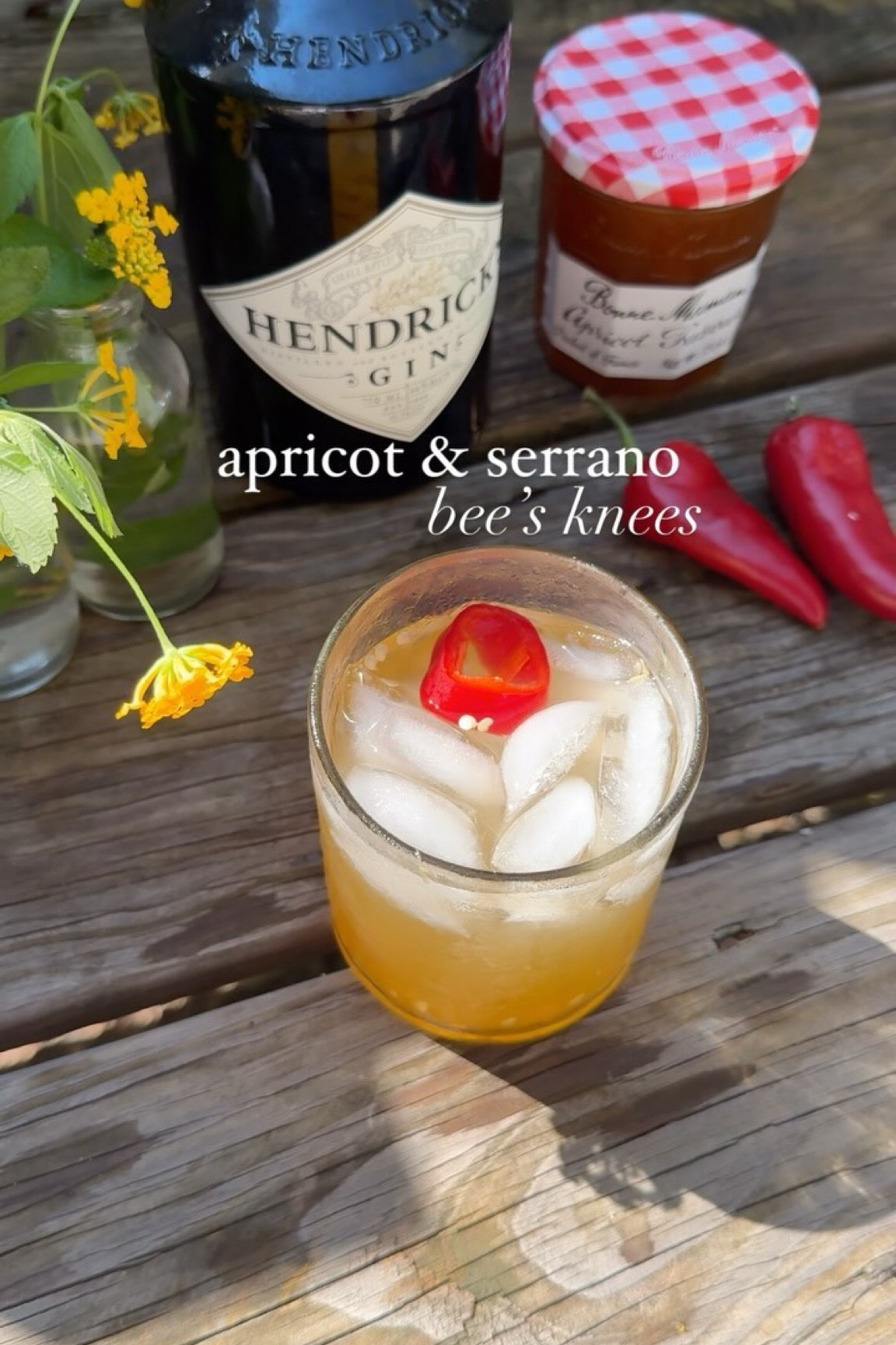 watch me struggle through this spicy bee’s knees🐝🌶️

This is what happens when I try to share a cocktail recipe while house sitting and stealing whatever I can from my mom’s kitchen🤣

The joys of renovating.

for one serving:

- 2 oz gin
- 1 oz lemon juice
- 1.5 tbs apricot jam
- 1/2 of a serrano pepper, sliced (more or less for spice preference)

In an empty cocktail shaker, add all ingredients and muddle to release the oils of the serrano. Dry shake (no ice) until well mixed and the jam is well incorporated. 

You can either add ice and shake again before straining into a chilled glass or (if you’re struggling like me) chaotically strain straight into a glass filled with ice and garnish with a serrano slice.

Just a fun little reminder that you don’t need all the tools to make a yummy cocktail, just creativity🫶🏻

Cheers Y’all,
Brooke xx 

#recipeshare #cocktailrecipes #cocktailsathome #gin #drinksdrinksdrinks