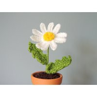 Crochet Daisy, Flower in Pot, Flower | Etsy (US)