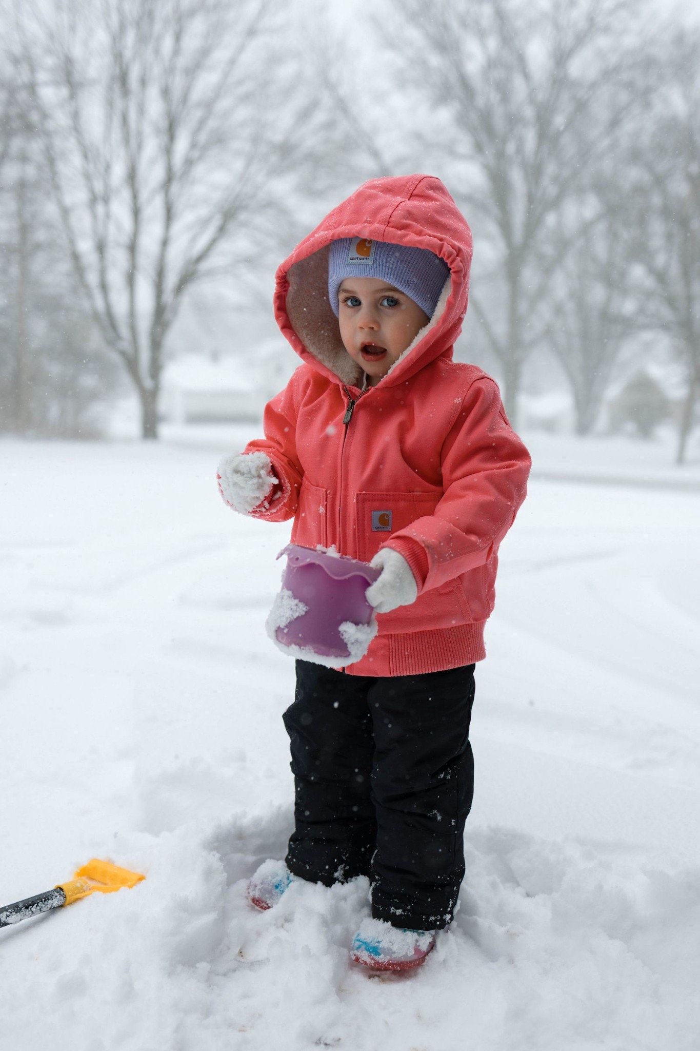Just a carhartt girlie! 

Toddler girl carhartt, carhartt for kids, winter gear for kids, toddler snow suite, toddler winter attire, carhartt kids 

#LTKSeasonal #LTKBaby #LTKBump
